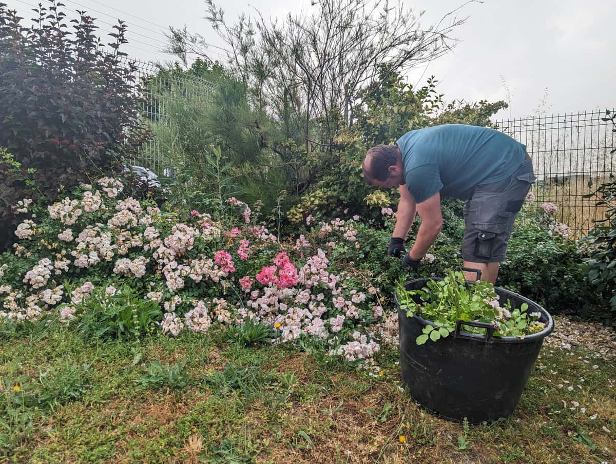 Plan d'entretien d'un Jardin de 100m²